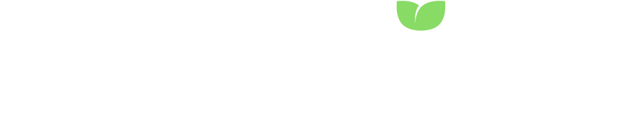 Salatino Logo